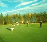 Mercure Newcastle George Washington Hotel,  Washington